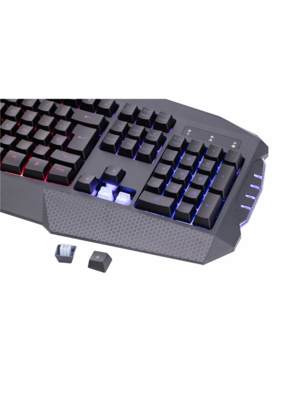 Teclado Gamer X-Lizzard - Imagen 2